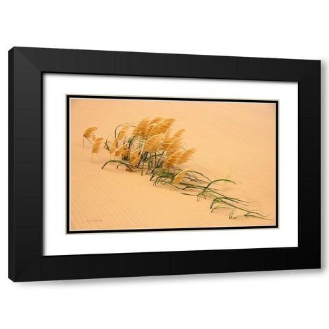 Pampas Grass In Sand Dune Black Modern Wood Framed Art Print with Double Matting by Bostek, Carl