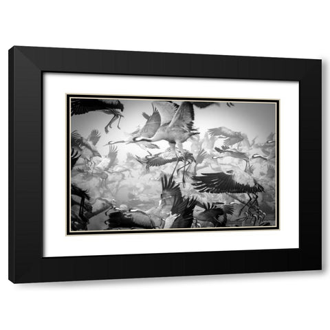 Chaos Black Modern Wood Framed Art Print with Double Matting by Meirovich, Ido