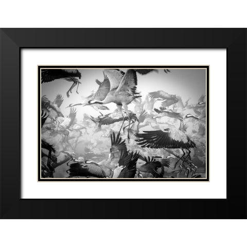 Chaos Black Modern Wood Framed Art Print with Double Matting by Meirovich, Ido