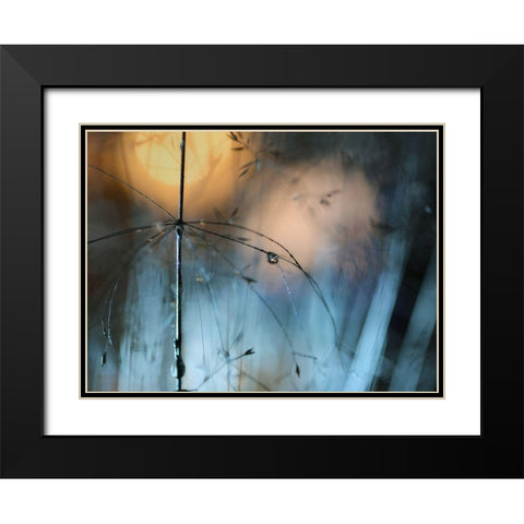 Almost Dark Black Modern Wood Framed Art Print with Double Matting by Westum, Heidi