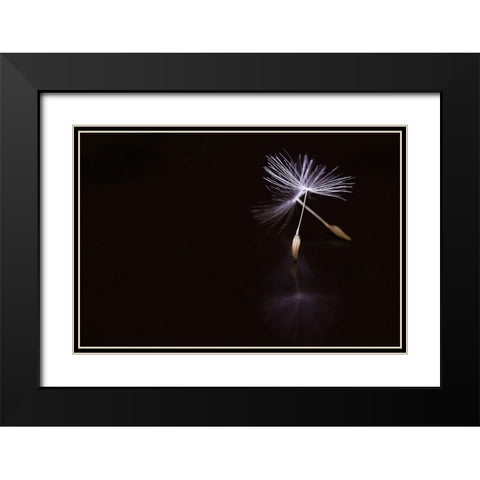 Ballet Black Modern Wood Framed Art Print with Double Matting by Soide55