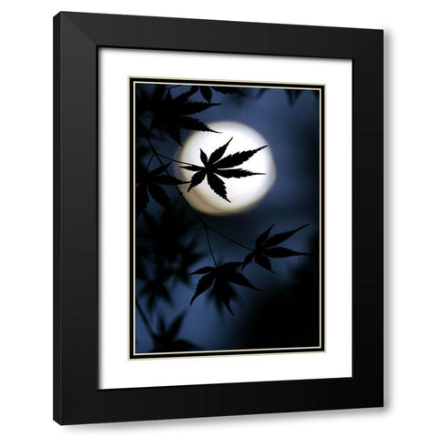 Color Of Japan Black Modern Wood Framed Art Print with Double Matting by Tomihisa, Kouji