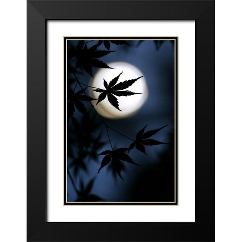 Color Of Japan Black Modern Wood Framed Art Print with Double Matting by Tomihisa, Kouji
