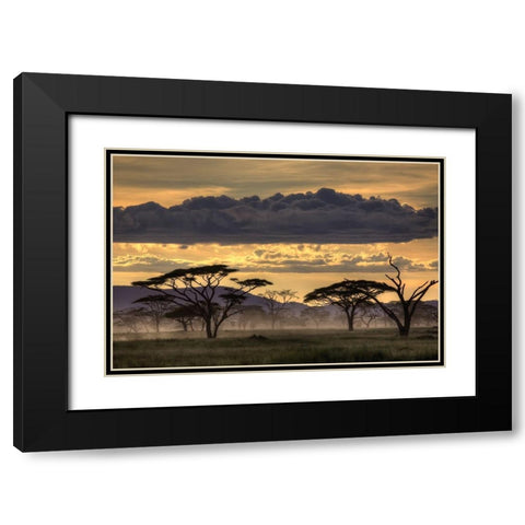 Good Evening Tanazania Black Modern Wood Framed Art Print with Double Matting by Eichelberg, Amnon