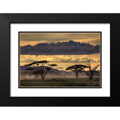 Good Evening Tanazania Black Modern Wood Framed Art Print with Double Matting by Eichelberg, Amnon