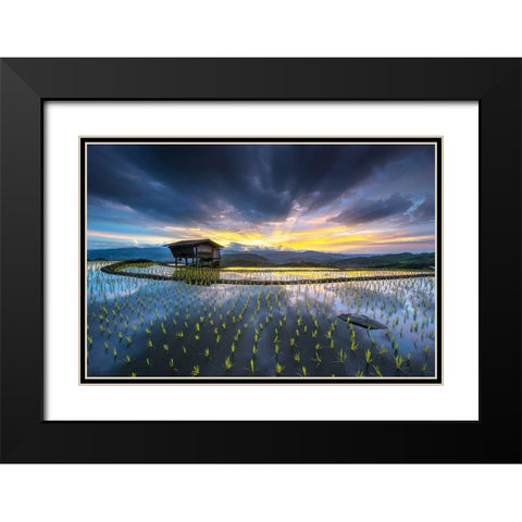 Light In Rice Black Modern Wood Framed Art Print with Double Matting by Intarob, Sarawut