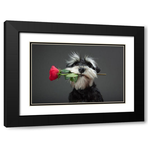 Tango Dancer Black Modern Wood Framed Art Print with Double Matting by Mahmutovic, Adnan