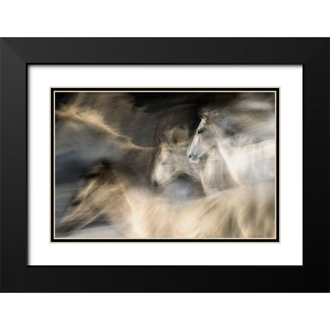 In Motion Black Modern Wood Framed Art Print with Double Matting by Malovrh, Milan