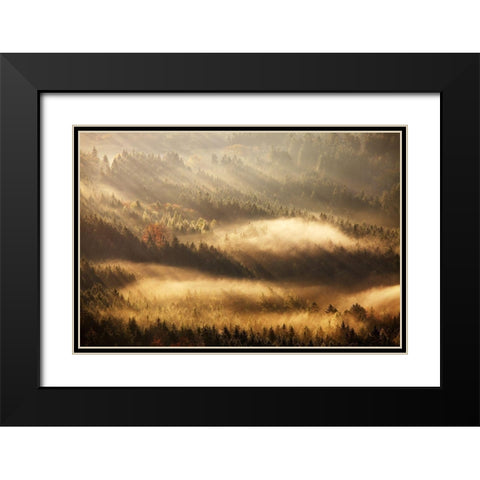 Autumn Rays Black Modern Wood Framed Art Print with Double Matting by Rak, Martin