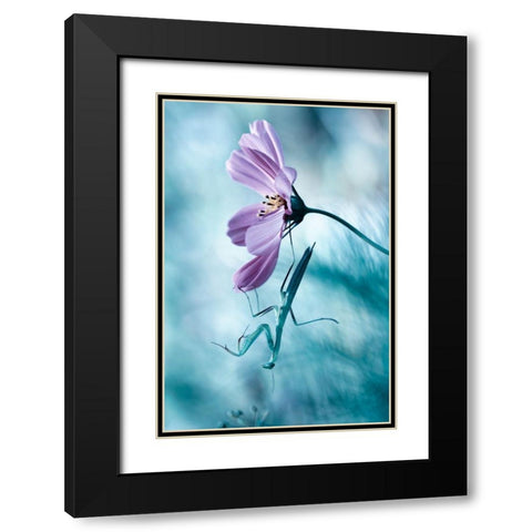 Newtonian Physics Black Modern Wood Framed Art Print with Double Matting by Bravin, Fabien