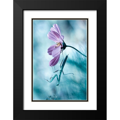 Newtonian Physics Black Modern Wood Framed Art Print with Double Matting by Bravin, Fabien