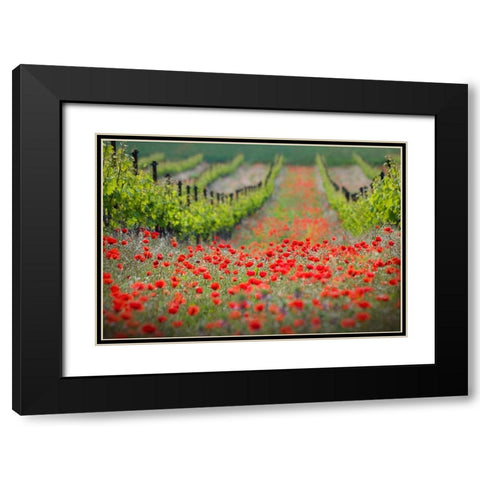 Red District Black Modern Wood Framed Art Print with Double Matting by Komovec, Ales