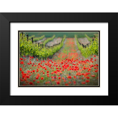 Red District Black Modern Wood Framed Art Print with Double Matting by Komovec, Ales