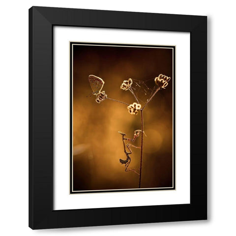 All I Want Is You Black Modern Wood Framed Art Print with Double Matting by Bravin, Fabien
