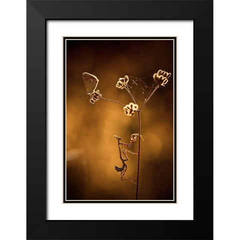 All I Want Is You Black Modern Wood Framed Art Print with Double Matting by Bravin, Fabien