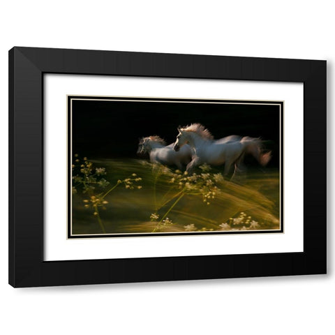 Duel Black Modern Wood Framed Art Print with Double Matting by Malovrh, Milan