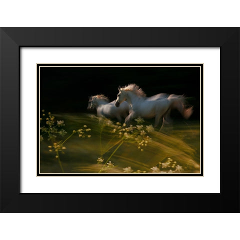 Duel Black Modern Wood Framed Art Print with Double Matting by Malovrh, Milan