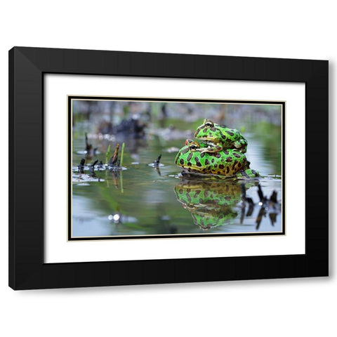 The Love Black Modern Wood Framed Art Print with Double Matting by Goh, Shikhei