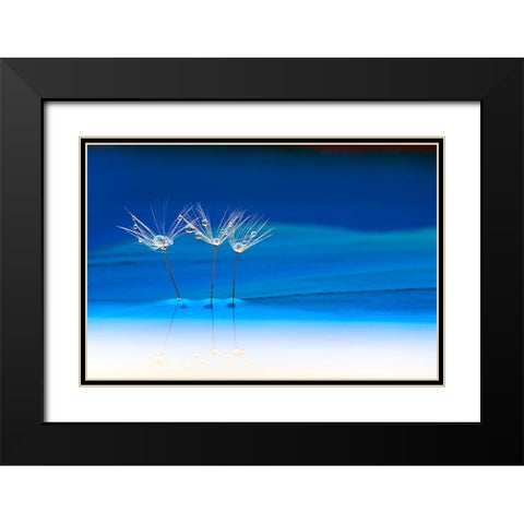 Blue Landscape Black Modern Wood Framed Art Print with Double Matting by Westum, Heidi