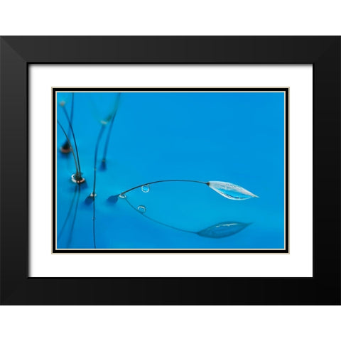 Blue Water Black Modern Wood Framed Art Print with Double Matting by Westum, Heidi