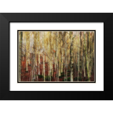 The Forest Of Ghosts Black Modern Wood Framed Art Print with Double Matting by Martini, Francesco