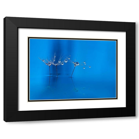Blue Fun Black Modern Wood Framed Art Print with Double Matting by Westum, Heidi