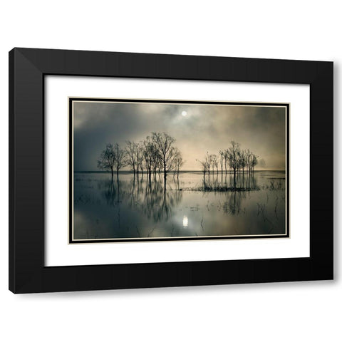 Lakes Secret Black Modern Wood Framed Art Print with Double Matting by Joanne, Flj