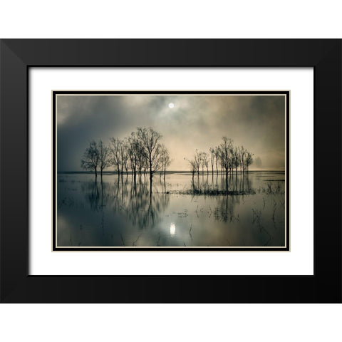 Lakes Secret Black Modern Wood Framed Art Print with Double Matting by Joanne, Flj