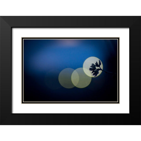 Hikari Black Modern Wood Framed Art Print with Double Matting by Tomihisa, Kouji