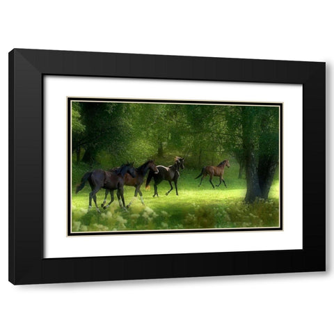Running Horses Black Modern Wood Framed Art Print with Double Matting by Wallberg, Allan