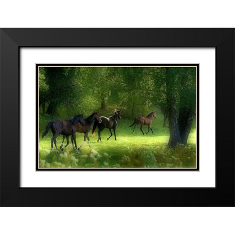 Running Horses Black Modern Wood Framed Art Print with Double Matting by Wallberg, Allan