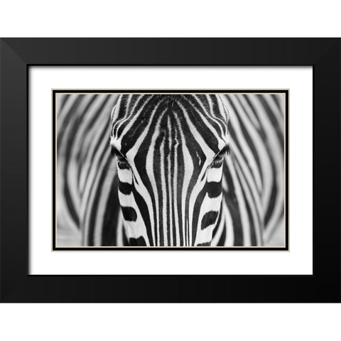 Zepra Black Modern Wood Framed Art Print with Double Matting by Alhumaid, Hesham
