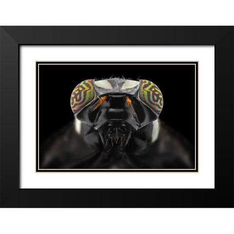 The Darth Vader Black Modern Wood Framed Art Print with Double Matting by Jusa, Donald
