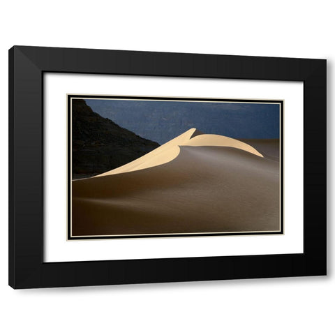 Sandy Bird Black Modern Wood Framed Art Print with Double Matting by Dubikovskiy, Dmitry