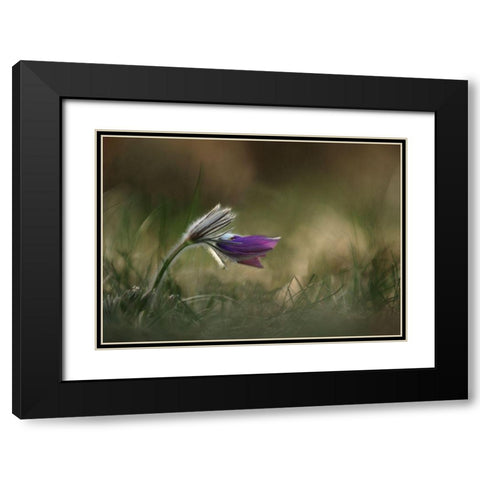 Alone Black Modern Wood Framed Art Print with Double Matting by Lichner, Istvan