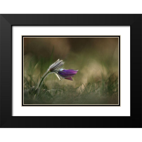 Alone Black Modern Wood Framed Art Print with Double Matting by Lichner, Istvan