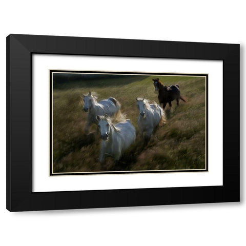 Gallop In Black Modern Wood Framed Art Print with Double Matting by Malovrh, Milan
