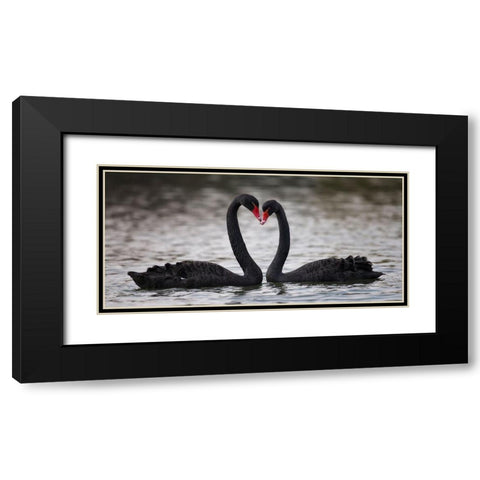 In Love Black Modern Wood Framed Art Print with Double Matting by Tjandra, C.S.