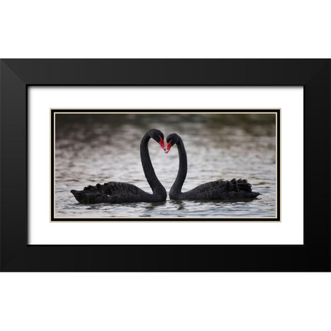 In Love Black Modern Wood Framed Art Print with Double Matting by Tjandra, C.S.