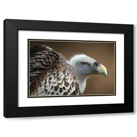 Vulture Black Modern Wood Framed Art Print with Double Matting by Hoffman, Jimmy