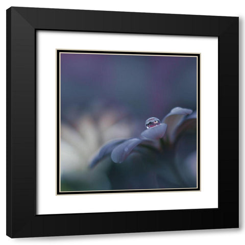 Invisible Soul... Black Modern Wood Framed Art Print with Double Matting by Nan, Juliana