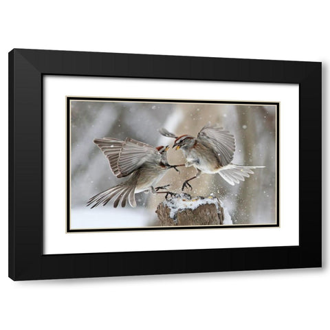 Fight Club Black Modern Wood Framed Art Print with Double Matting by Costina, Mircea