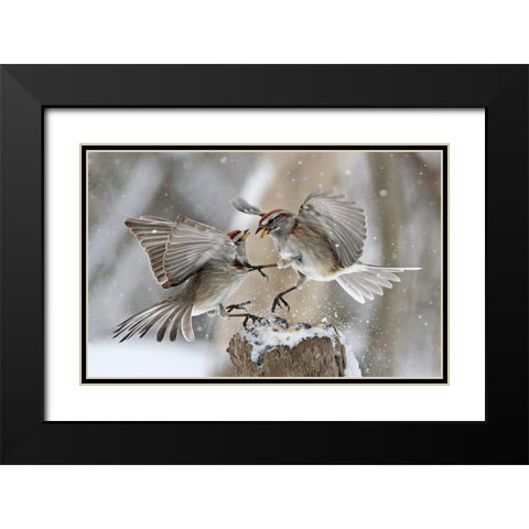 Fight Club Black Modern Wood Framed Art Print with Double Matting by Costina, Mircea