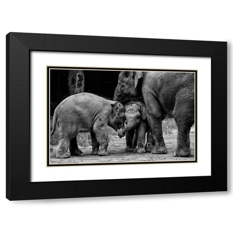 Friends Forever Black Modern Wood Framed Art Print with Double Matting by Rex, Ernest