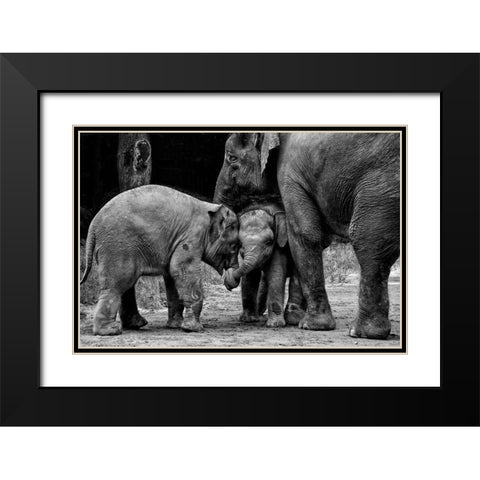 Friends Forever Black Modern Wood Framed Art Print with Double Matting by Rex, Ernest