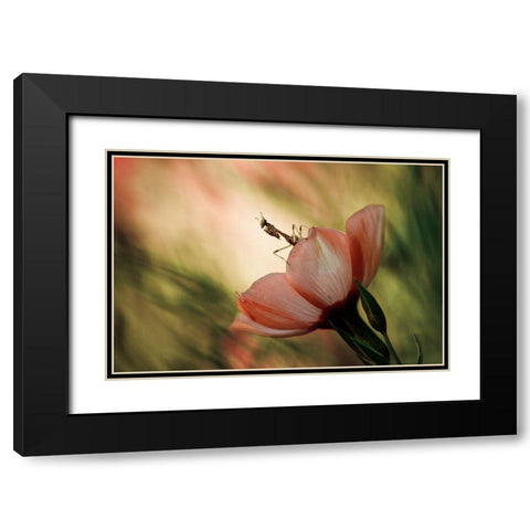 Juliet On The Balcony Black Modern Wood Framed Art Print with Double Matting by Bravin, Fabien