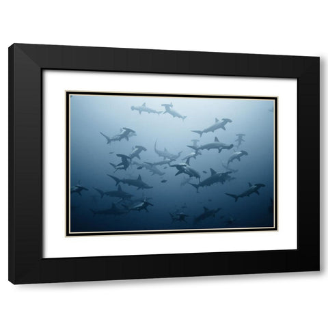 Swarming Black Modern Wood Framed Art Print with Double Matting by Safonov, Alexander