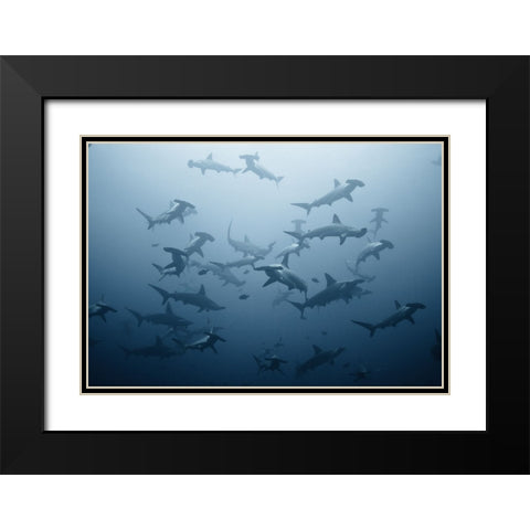Swarming Black Modern Wood Framed Art Print with Double Matting by Safonov, Alexander