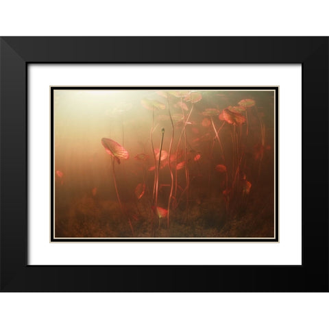 Lines World Black Modern Wood Framed Art Print with Double Matting by Narchuk, Andrey