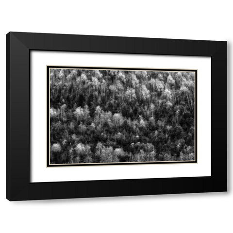 Untitled Black Modern Wood Framed Art Print with Double Matting by Ghesquiere, Hilde